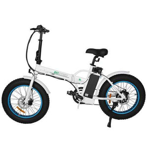 Ecotric 36V Fat Tire Portable and Folding Electric Bike